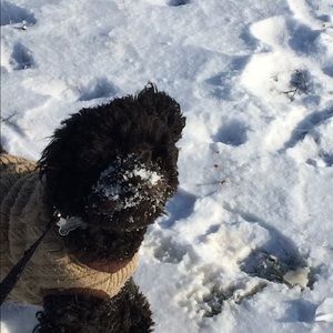 Meet your Posher, Mitchell